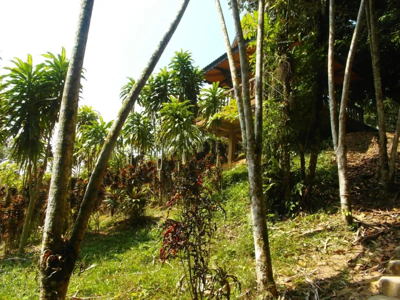Wat Teepangkorn, Koh Samui: view 6