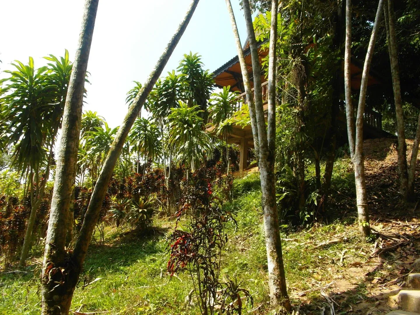 Tarnim Magic Garden: Fee, Road and What to See on Pom Mountain