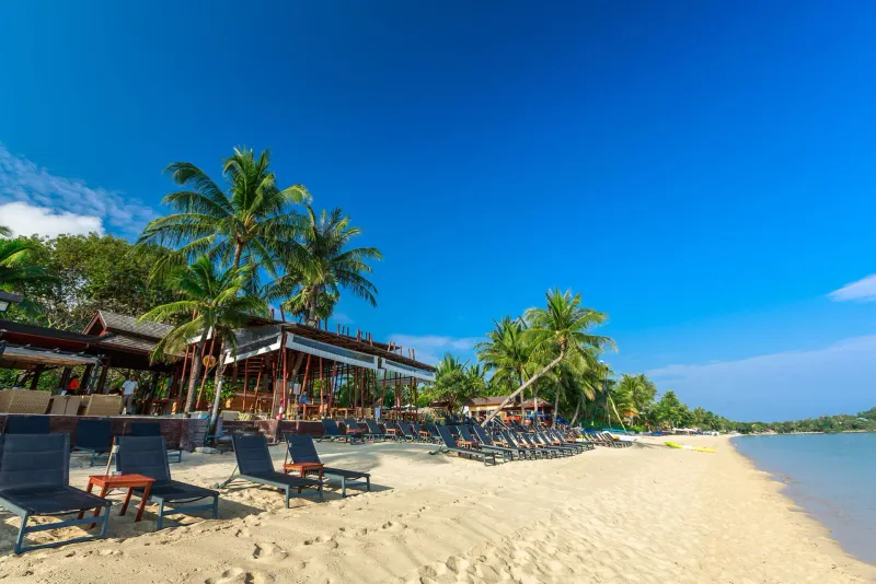 Beach loungers and a beachfront bar under palms at Bandara Resort Samui on Bophut Bay