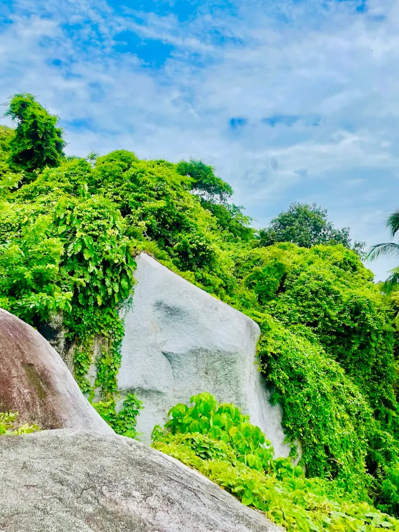 Large granite boulder covered in jungle vines on the hillside above the shrine