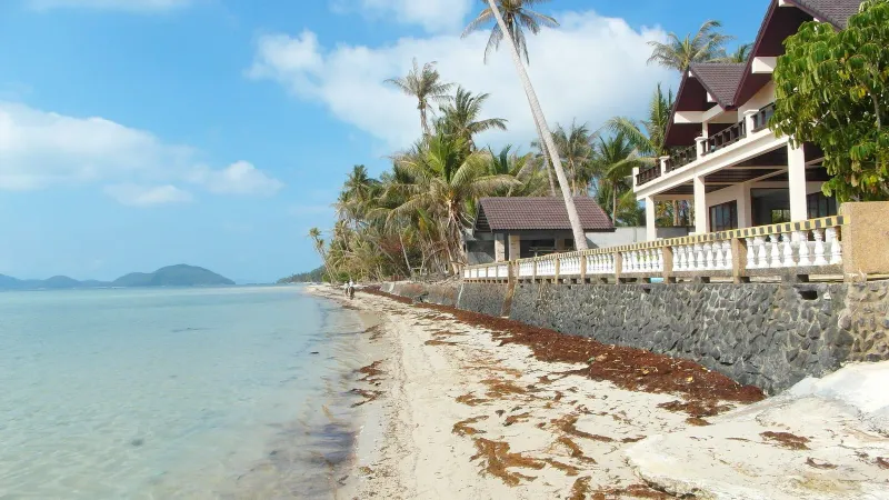 Buddha's Footprint Shrine, Koh Samui: view 6