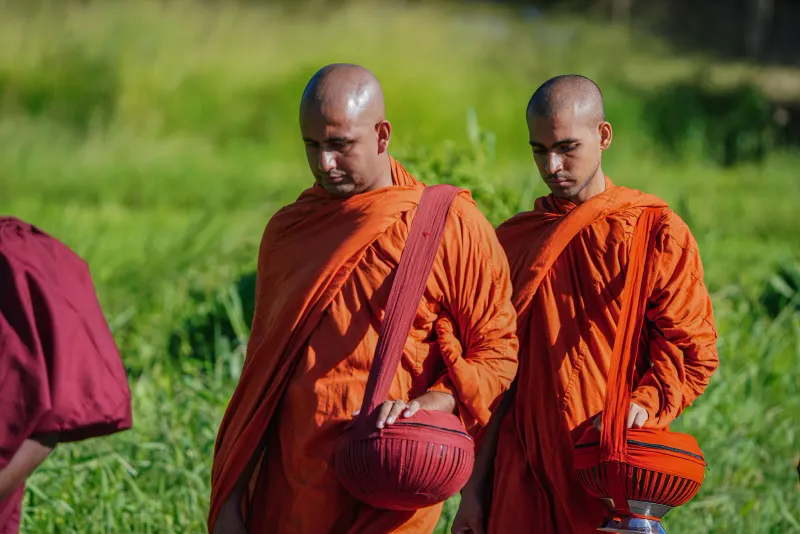 Two monks carrying alms bowls through a green field at sunrise