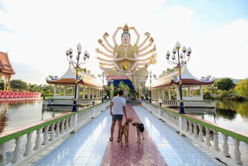 Detail of the Chao Eng Sae Shrine's decoration, Maenam, Koh Samui