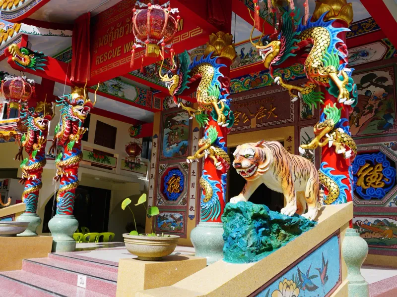Dragon-wrapped red pillars and a guardian tiger statue at a Chinese shrine on Koh Samui