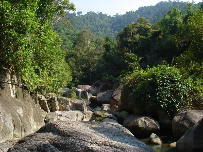 Boulder-strewn creek in the jungle hills above Nathon