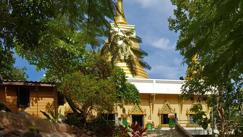 A golden chedi rising above a temple roofline, framed by tree branches