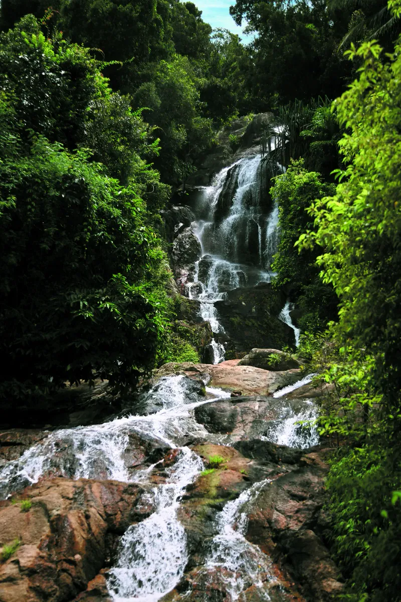 A tall jungle waterfall dropping through dense rainforest, typical of Koh Samui's mountain cascades