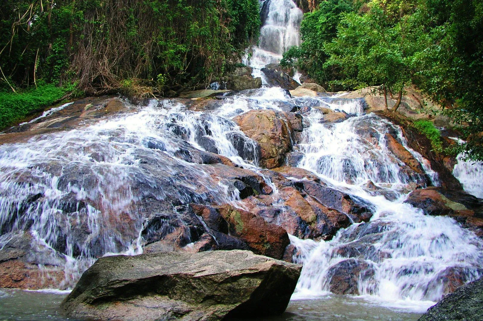 Jungle canopy shading Zong Raue Waterfall's cascade