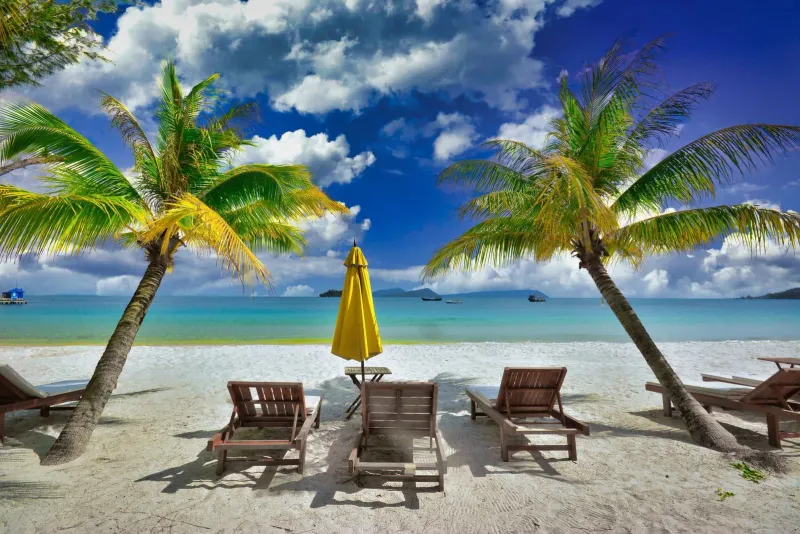 Lounge chairs under palm trees on a peaceful tropical beach, similar to Koh Samui's quieter June mornings
