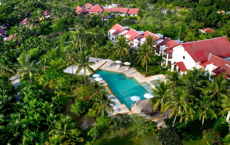 Aerial shot of a Koh Samui honeymoon resort pool and villas among palm trees