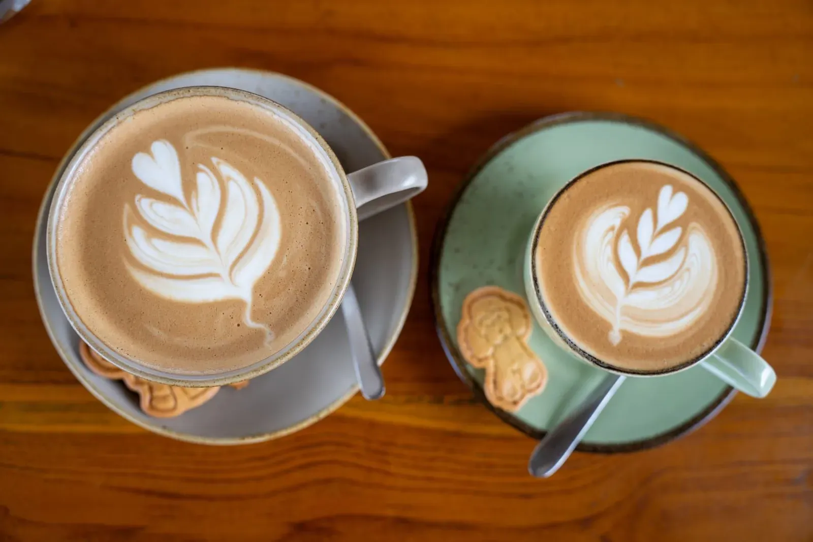 Cafe Samui: Best Cafés and Brunch Spots by Area (2026)