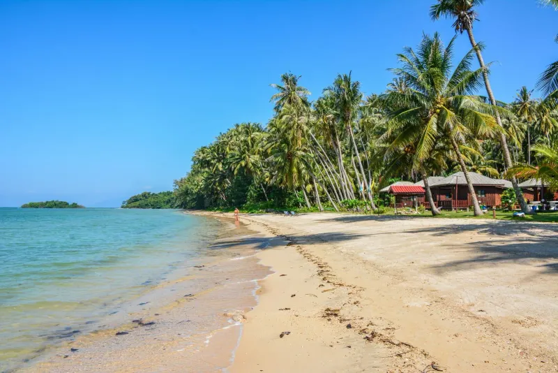 Tropical beach with palm trees under clear blue sky, matching Koh Samui's dry late-December conditions
