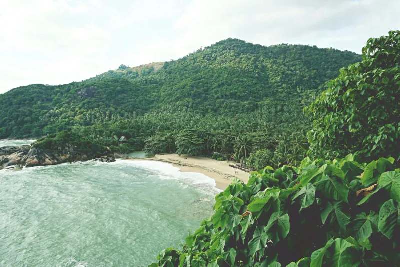 Tropical beach surrounded by green hills near Koh Samui during the December peak season