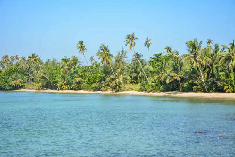 Palm-lined shoreline with calm blue water typical of Koh Samui's late December dry season