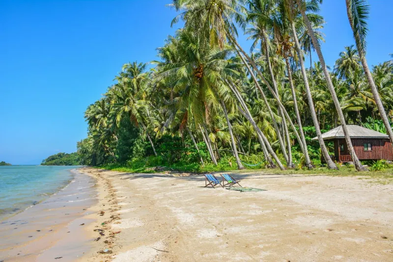 Tropical beach with palm trees and clear skies during Koh Samui's dry back half of December
