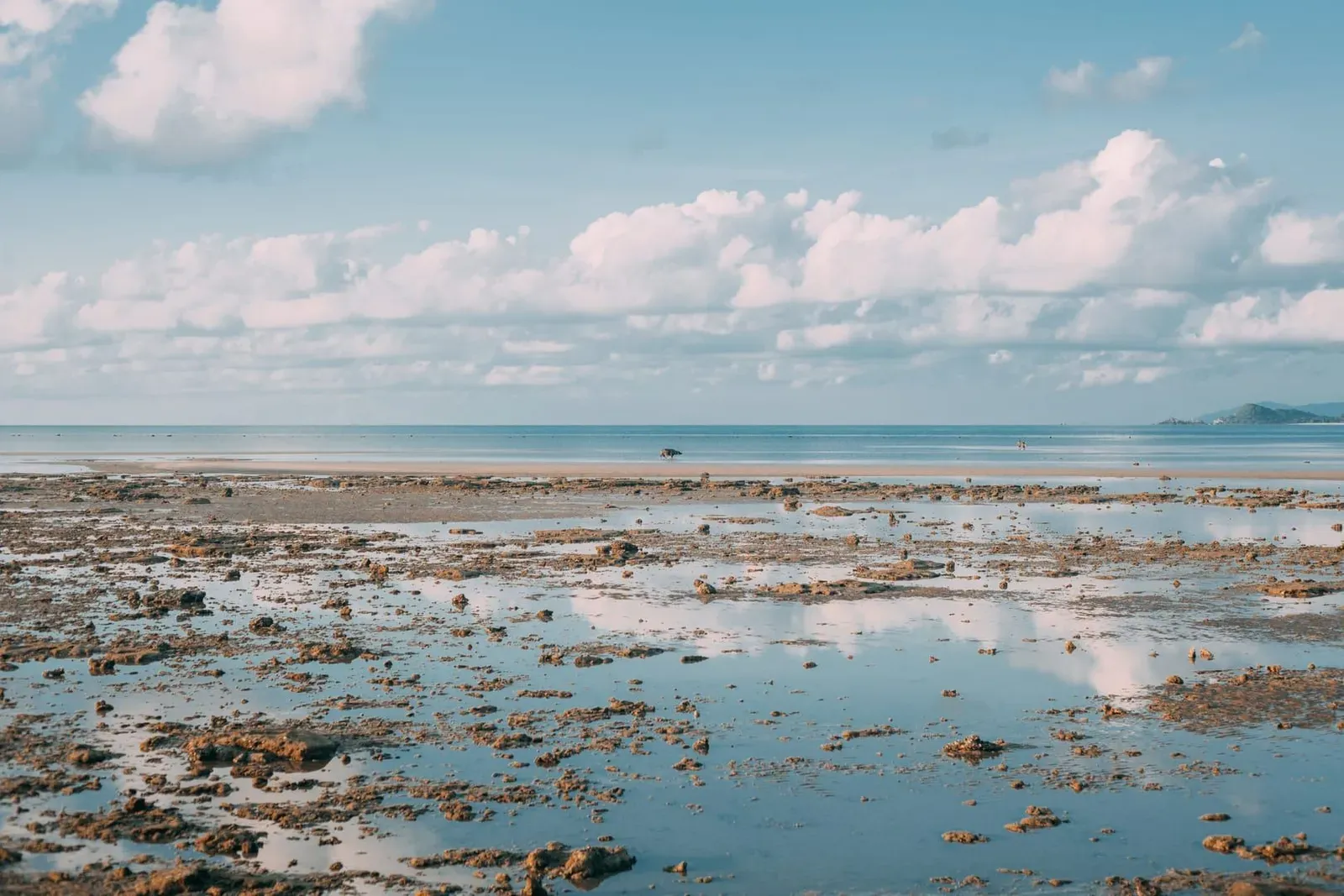 Koh Samui Weather June: 32.7°C, 135 mm Rain, Sea 30°C