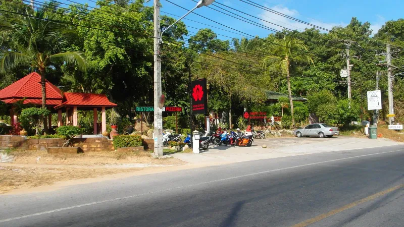 Palm-lined tropical beach and gentle water near Koh Samui's calmer northern shore