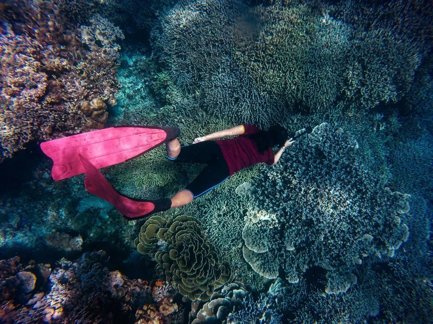 Freediving Koh Samui: Courses, Prices, Sail Rock and Safety