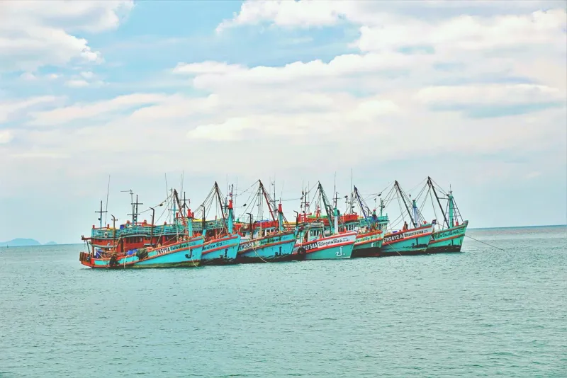 Cluster of traditional longtail fishing boats moored near a south Koh Samui pier