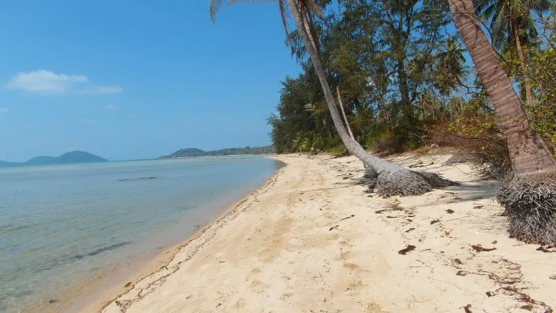 Laem Set Beach, Koh Samui: view 5