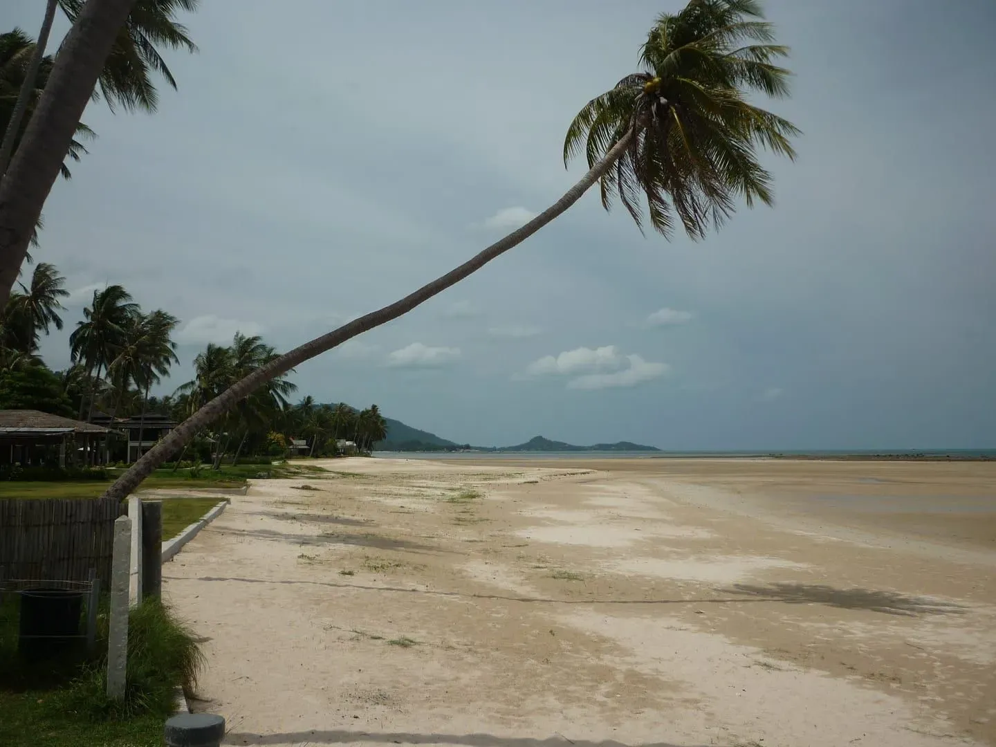 Easy Divers Koh Samui: PADI 5-Star IDC, Open Water 17,900 THB