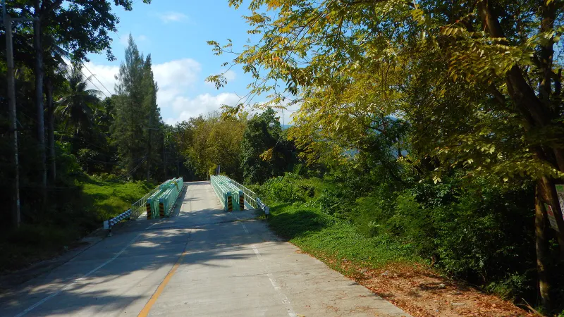 Rural road through the Lipa Noi plantations on the way to Lat Wanon