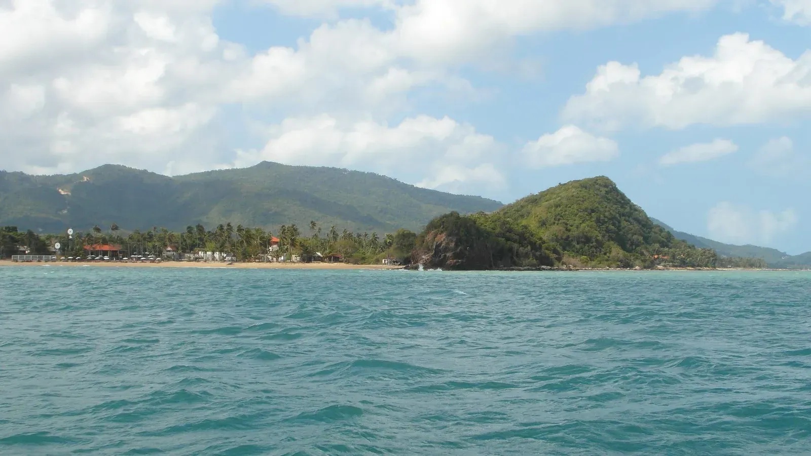 Tall hardwood trees and bamboo stands along a Koh Samui interior trail (illustrative)