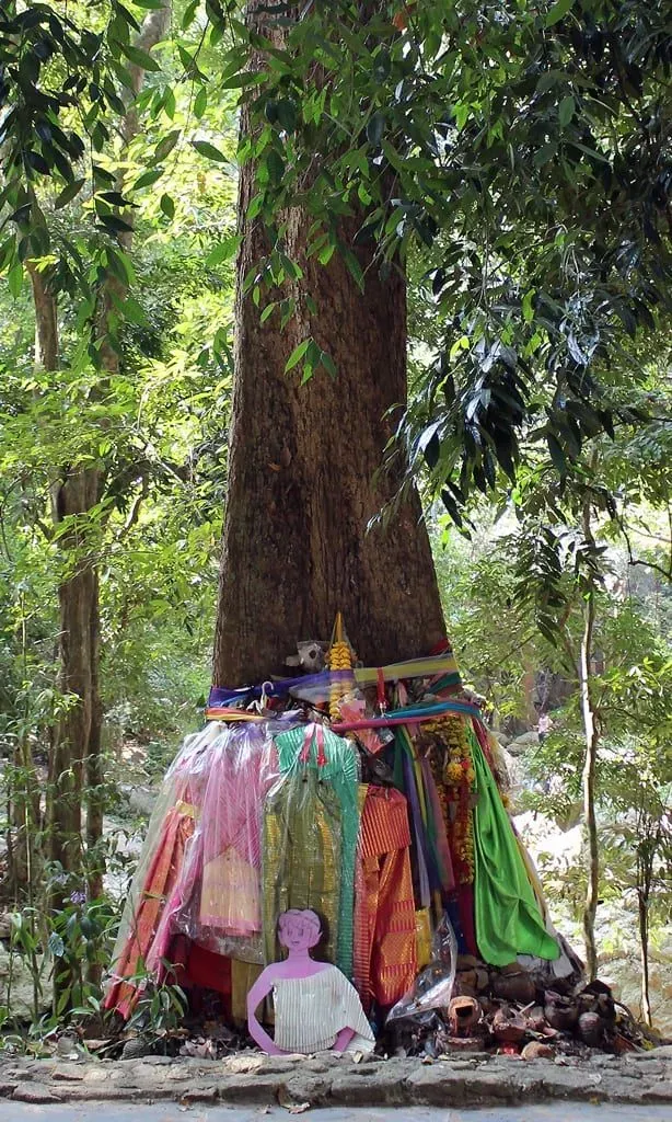 Tree by Namuang-1 Waterfall at Koh Samui, which 'nang Ta-khian' lives in. She's a young beautiful female spirit or ghost.…