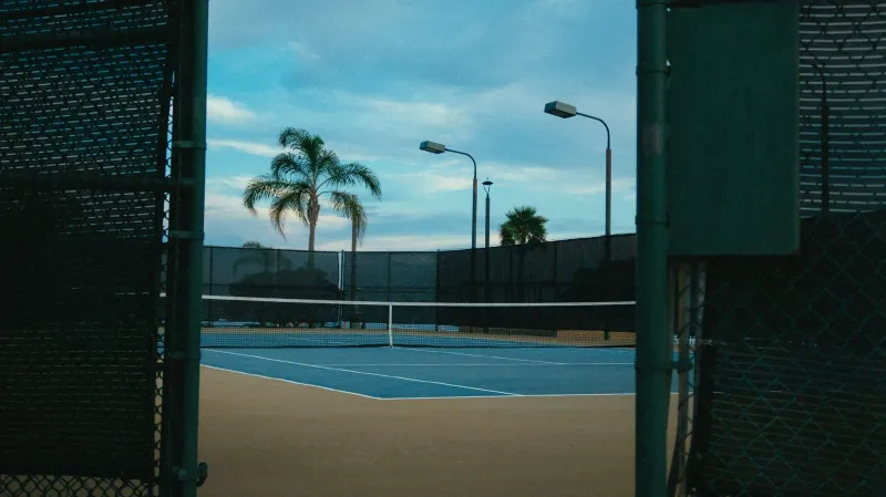 Serene view of an empty outdoor court lined with palm trees during the day