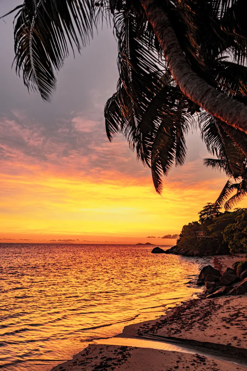 A palm-shaded viewpoint over calm turquoise water on Koh Samui's west coast