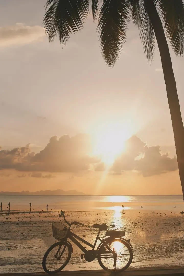Sunset silhouette on a Koh Samui beach representing the island's shifting crowd and price levels through the year