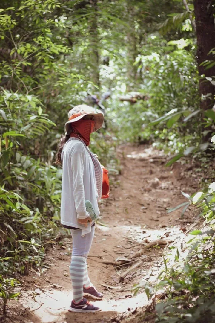 A hiker walking along a jungle trail in Koh Samui's forested interior