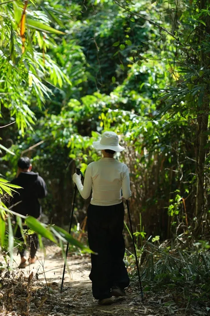 Two hikers on a forest trail in Koh Samui's jungle interior