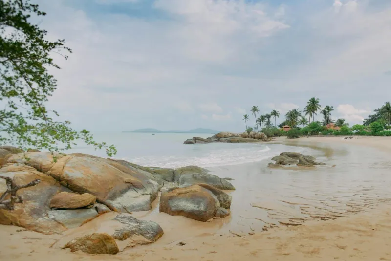 Palm-fringed shoreline near Lamai, Koh Samui, close to where Sunrise Studio operates