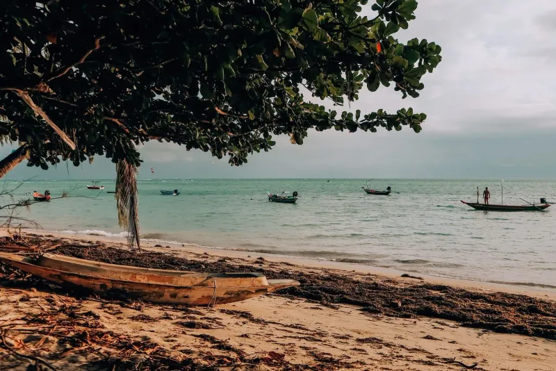 Boats resting on a quiet Koh Samui shoreline at dusk near the island's less-visited south coast