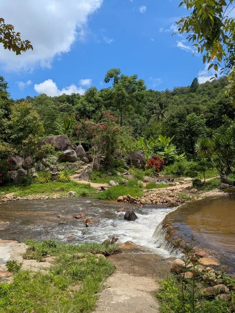 A stream winds through dense tropical greenery, the kind of vegetation lining the lower trail before the descent to the falls
