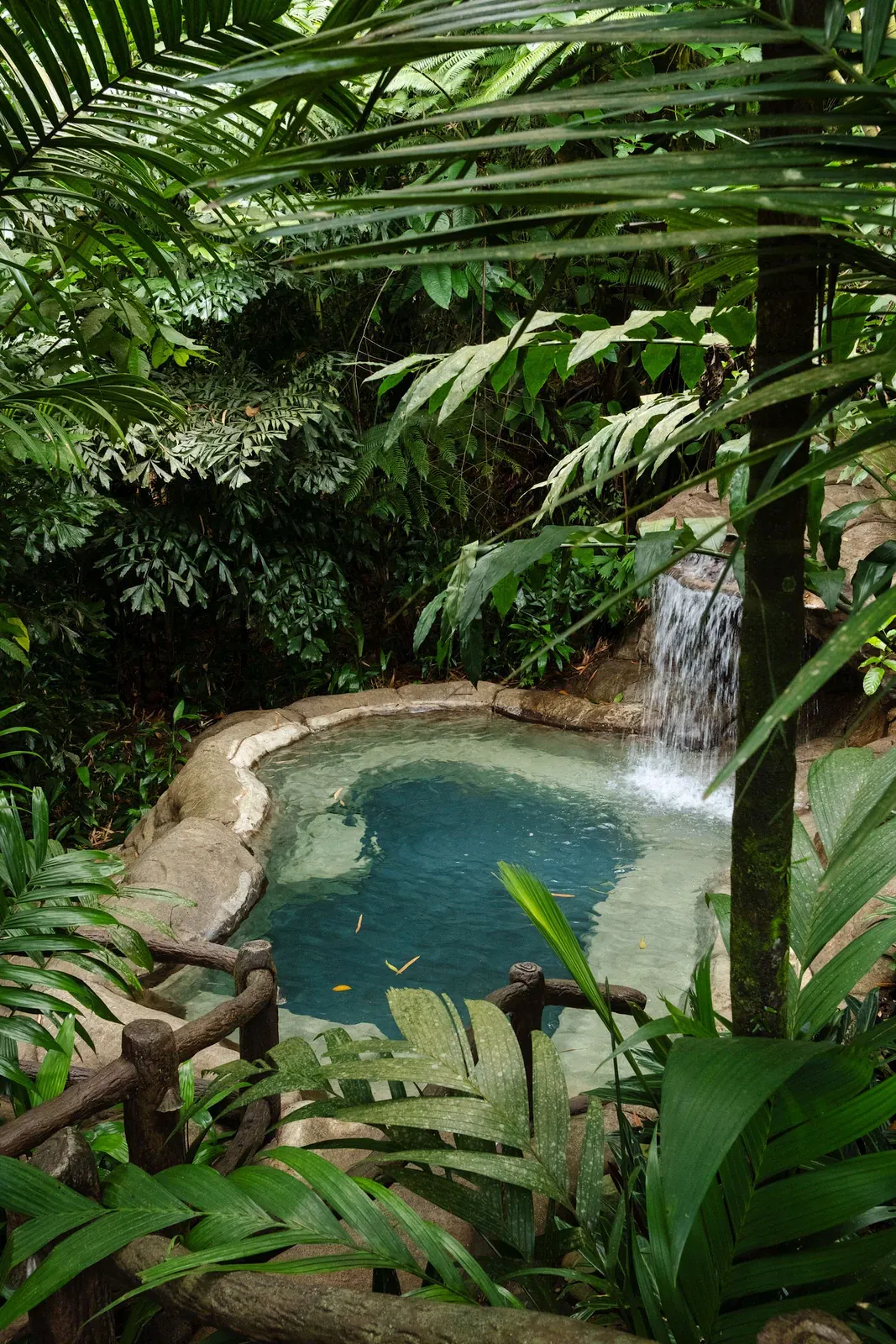 Tan Rua Trail: Secret Falls Hike Through Maenam's Jungle Hills