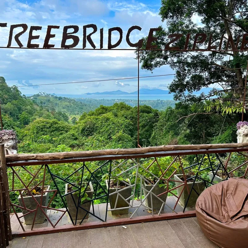 View from the Tree Bridge Zipline platform above the jungle valley