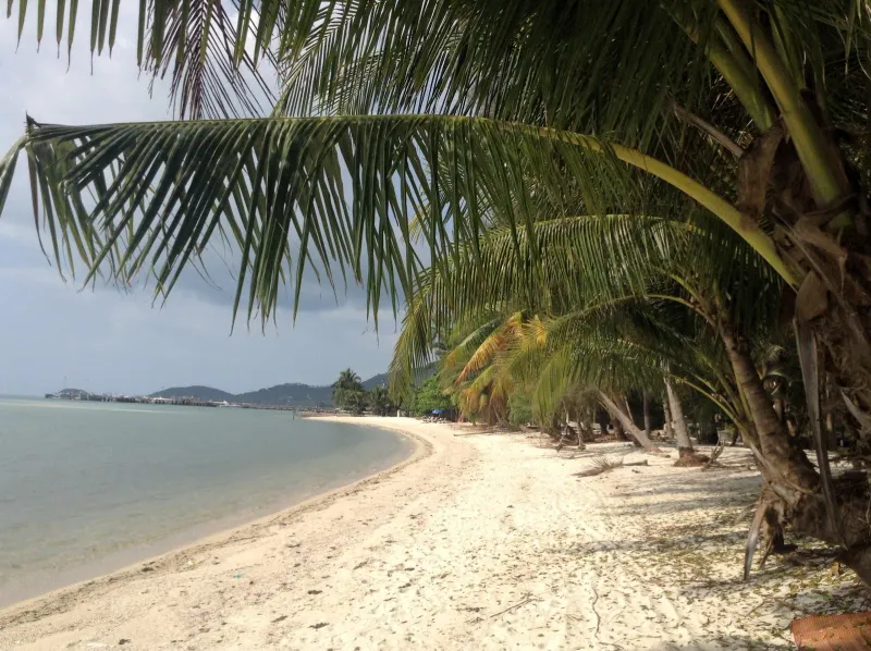 Palm-lined sand curving south toward a distant pier on Koh Samui's west coast