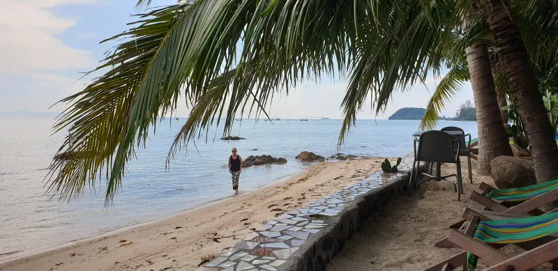 Palm-shaded beach corner with a couple of loungers, no crowds