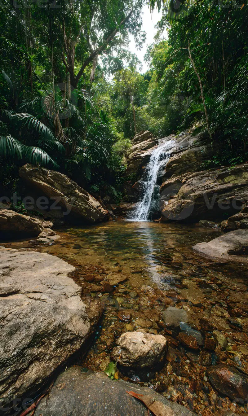 Tranquil cascade flowing over mossy rocks in a rainforest setting