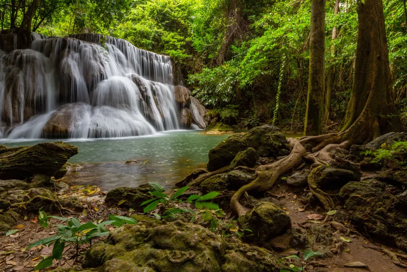 Small cascade waterfall in a lush rainforest