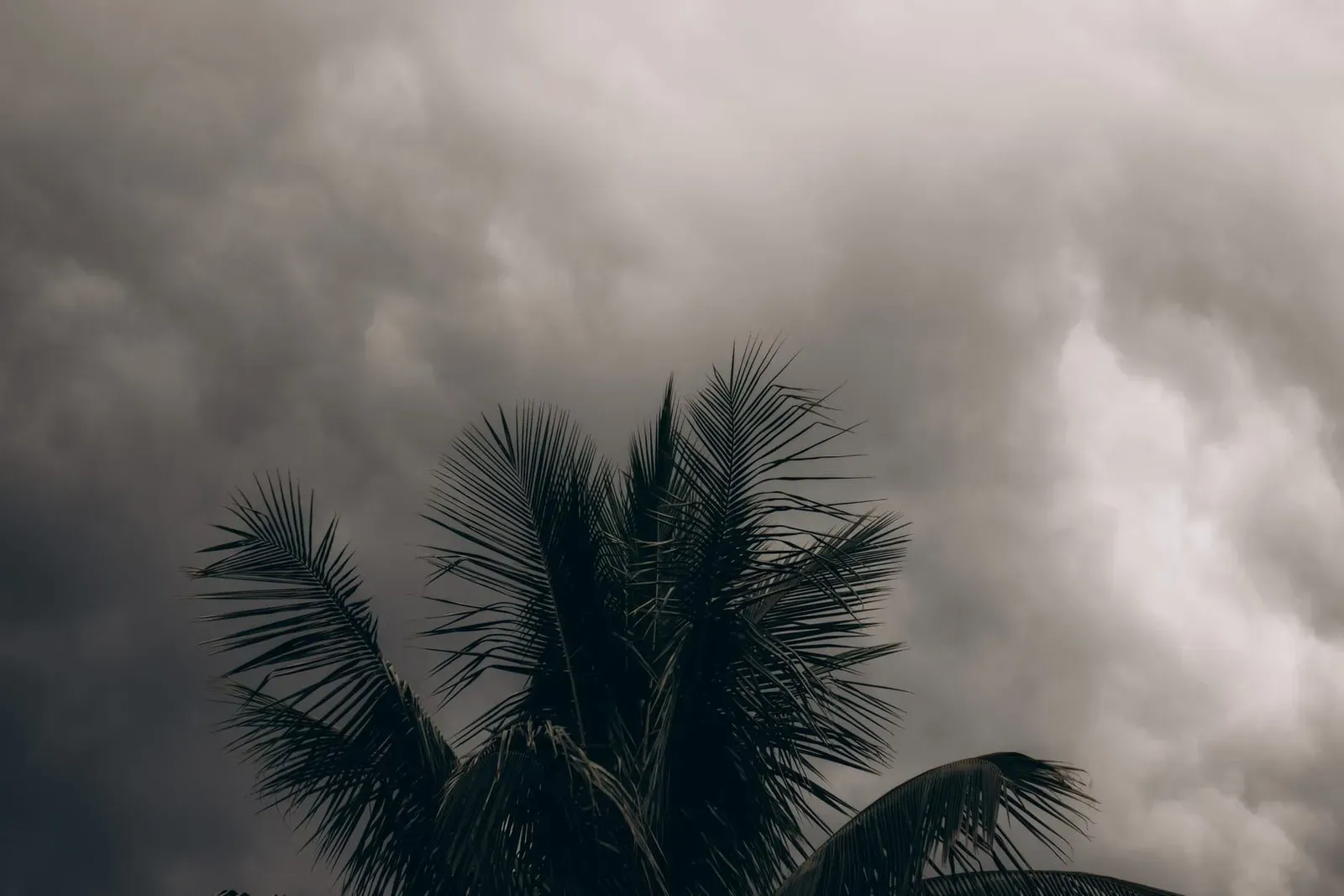 Things to Do in Koh Samui When It Rains: 15 Indoor Ideas