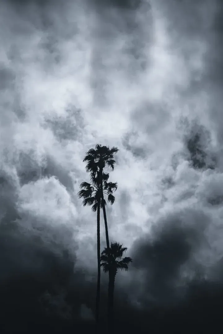 Silhouetted palm trees against stormy skies typical of Koh Samui rainy days