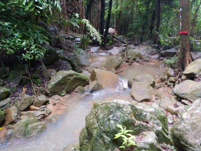 Muddy jungle stream crossing the trail to Wang Sao Thong
