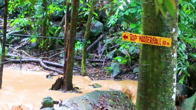 Wang Sao Thong Trail