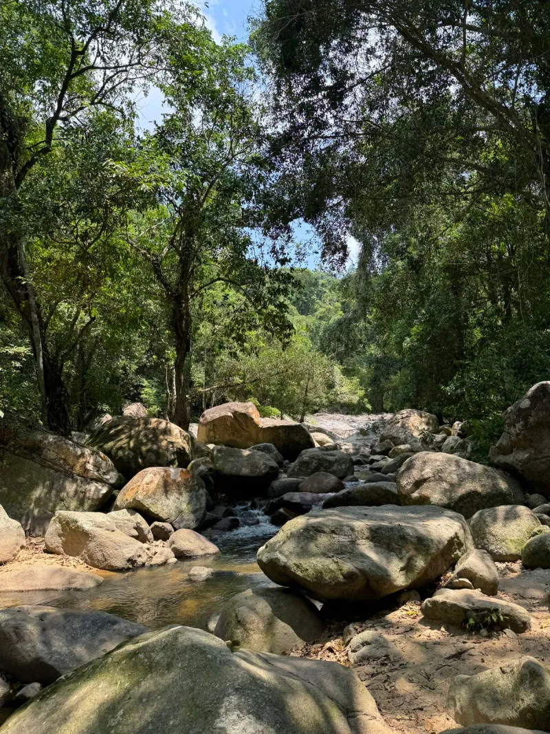 Forest stream near Wat Namtok Hin Lad, Koh Samui